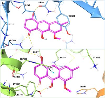 Neurodegeneration: can metabolites from Eremurus persicus help?